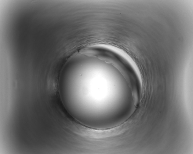X0000089410039200706221143