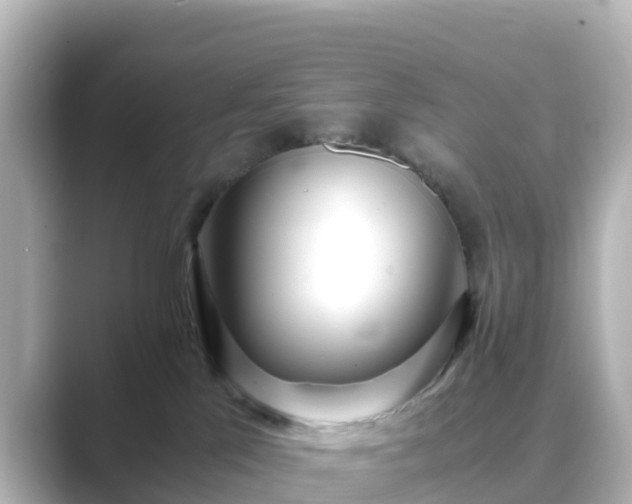 X0000089410041200706221143