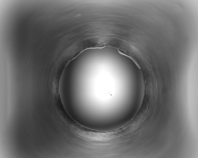 X0000089410044200706221143