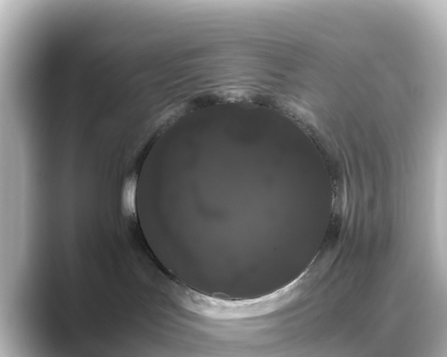 X0000089410047200706221143