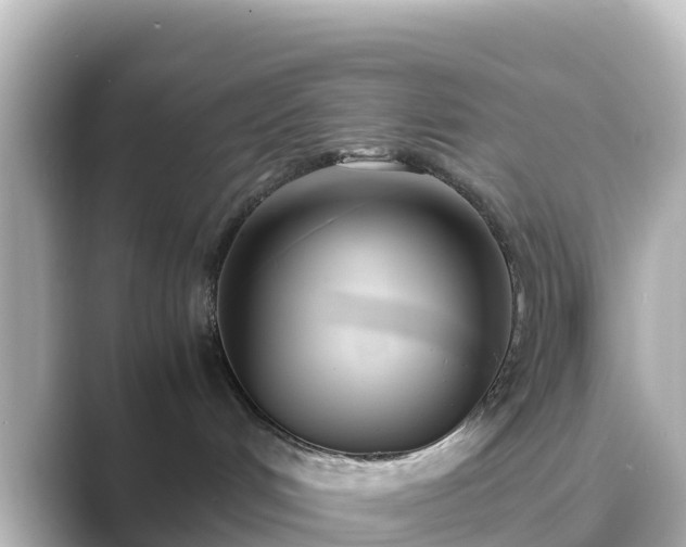 X0000089410048200706221143