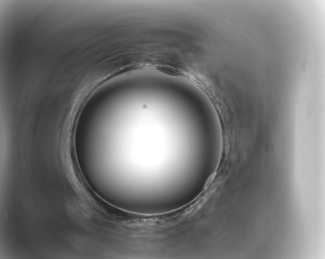 X0000089410049200706221142