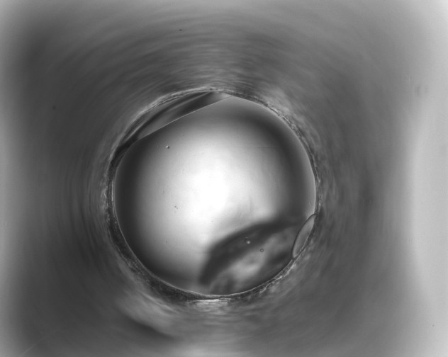 X0000089410050200706221142