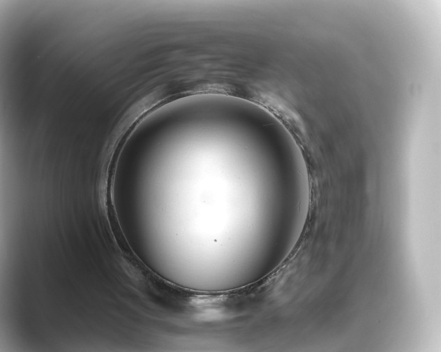 X0000089410051200706221142