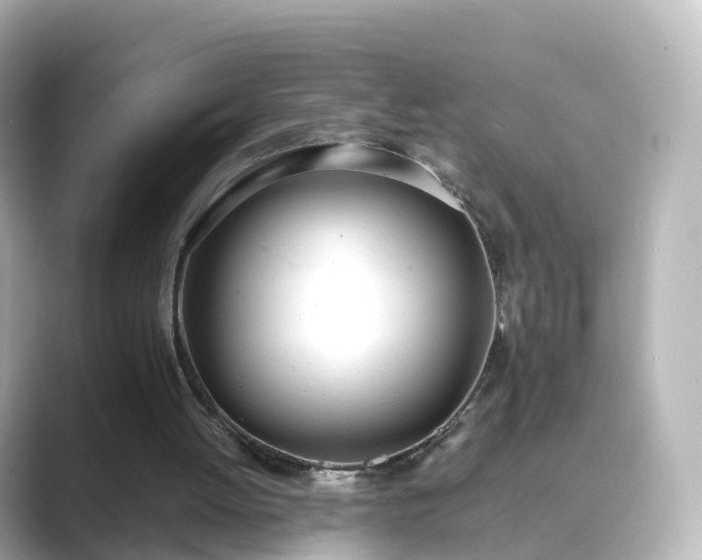 X0000089410052200706221142