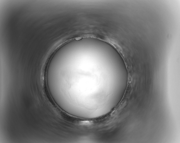 X0000089410053200706221142