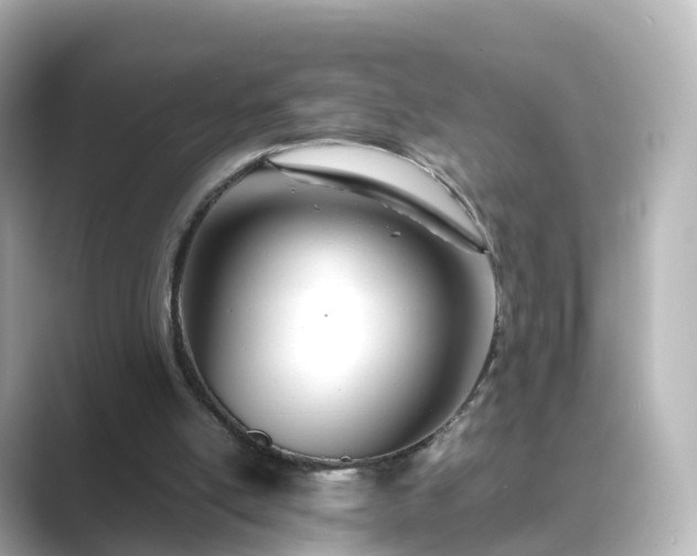 X0000089410054200706221142