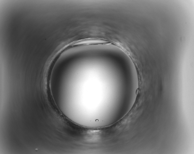X0000089410055200706221142