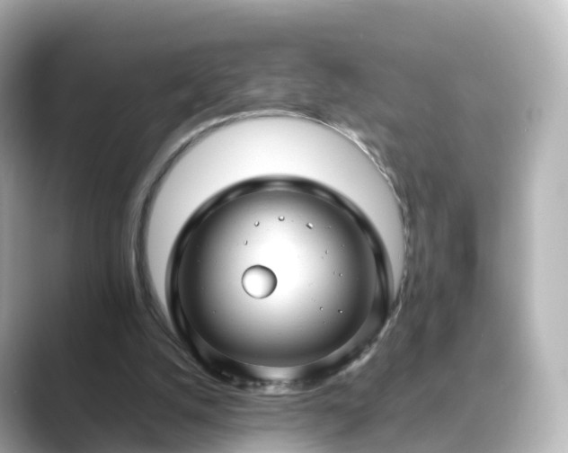 X0000089410056200706221142