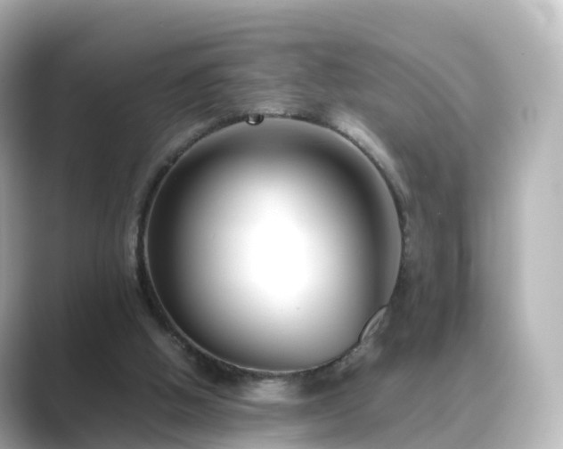 X0000089410058200706221142