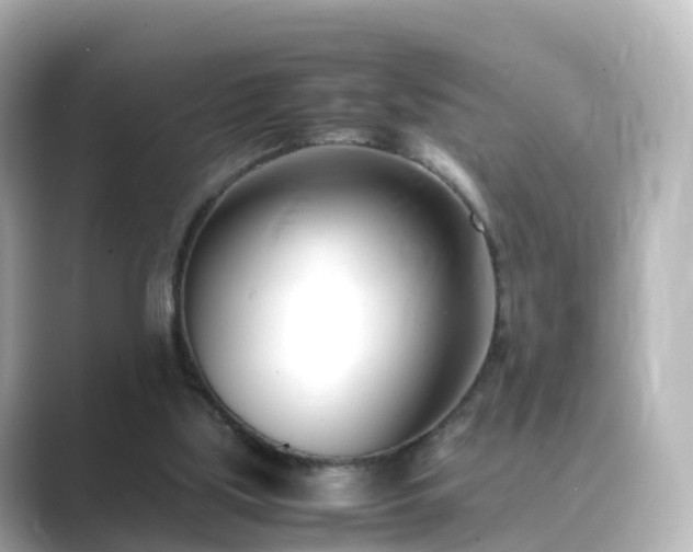 X0000089410059200706221142