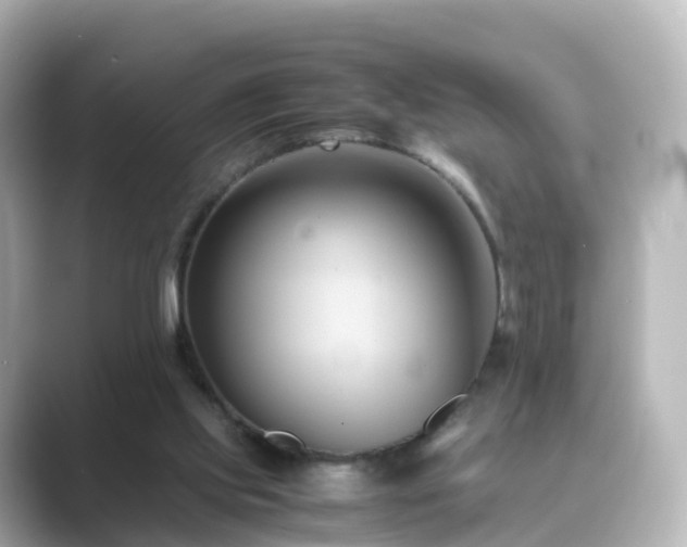 X0000089410061200706221142