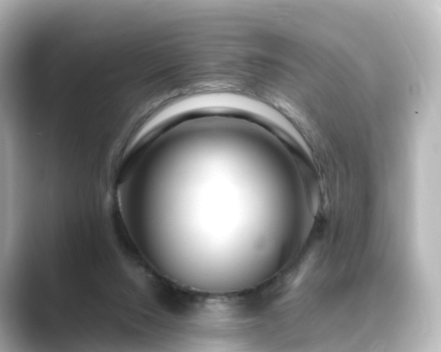 X0000089410064200706221143