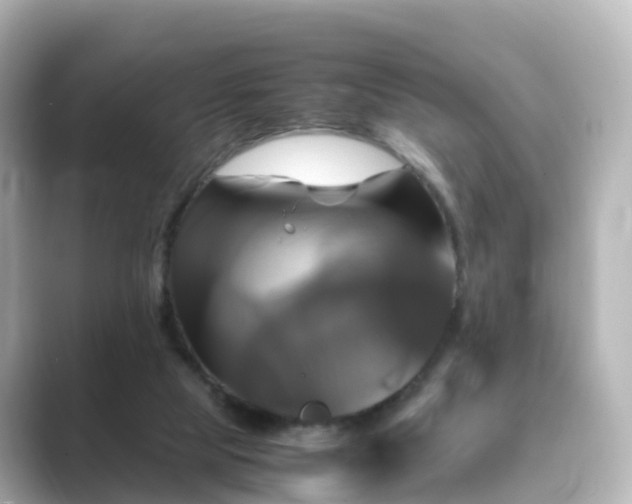 X0000089410065200706221143