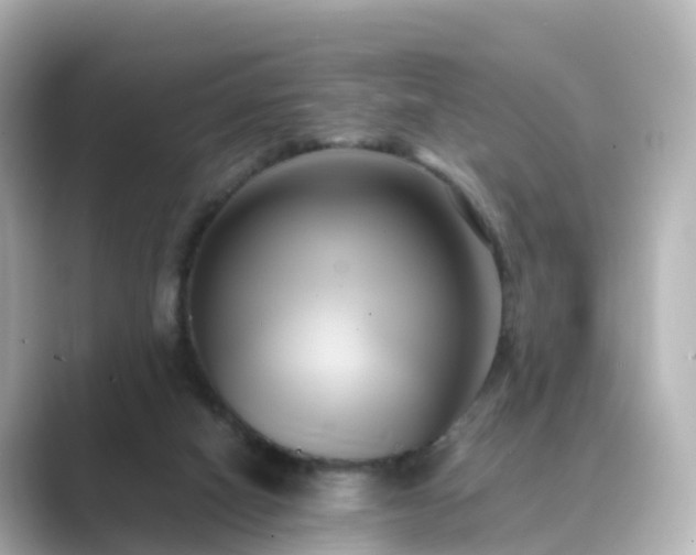 X0000089410066200706221143