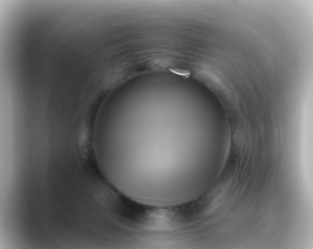 X0000089410079200706221143