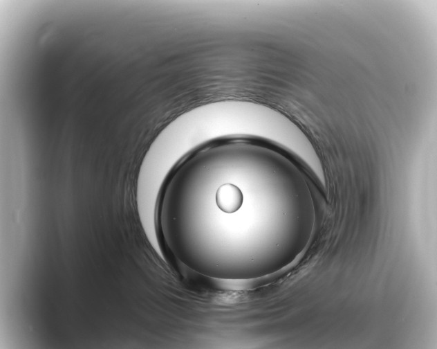 X0000089410096200706221143