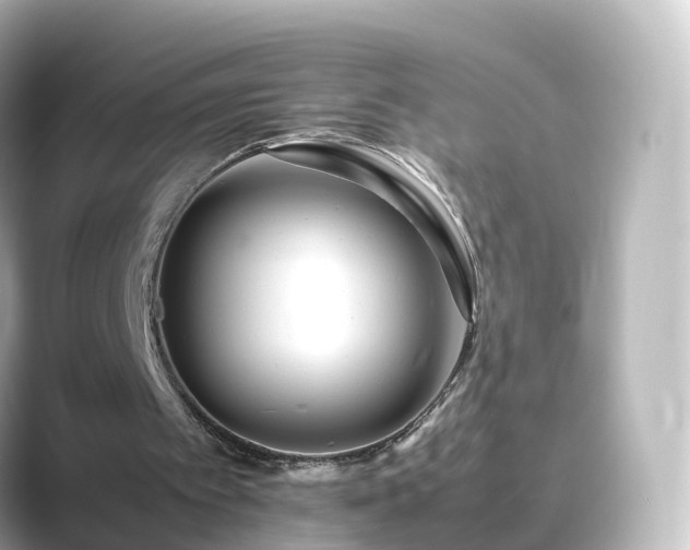X0000089410097200706221142