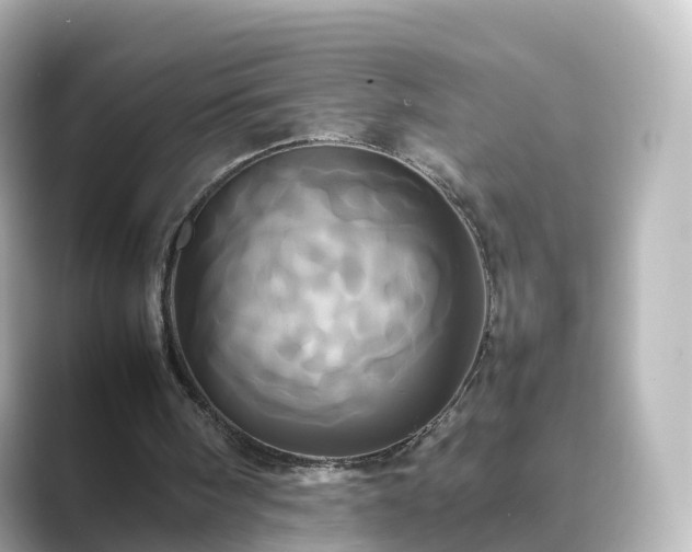 X0000089410098200706221142