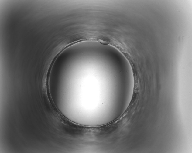 X0000089410099200706221142