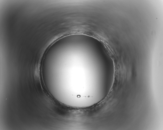 X0000089410100200706221142