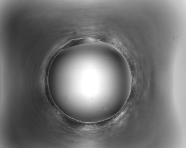 X0000089410101200706221142