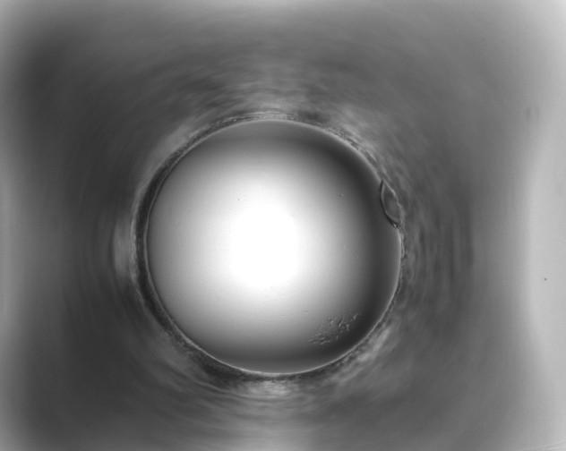 X0000089410102200706221142