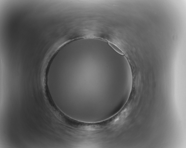 X0000089410103200706221142