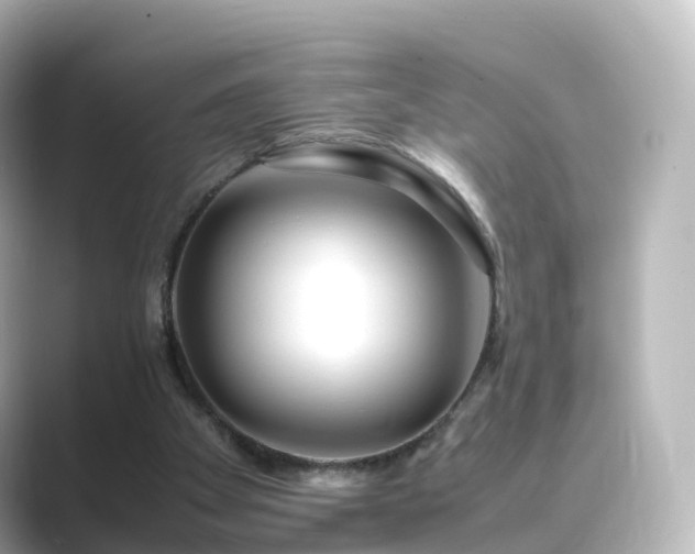 X0000089410105200706221142