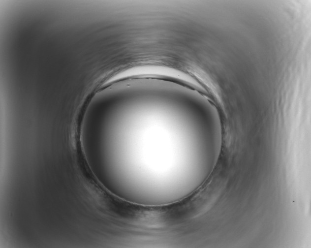 X0000089410107200706221142