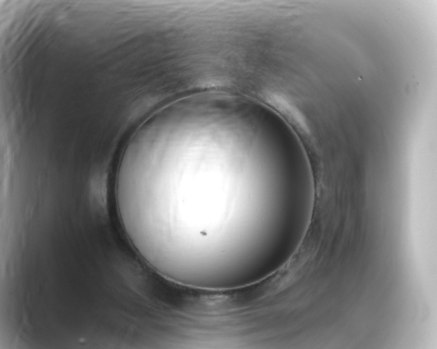 X0000089410108200706221142
