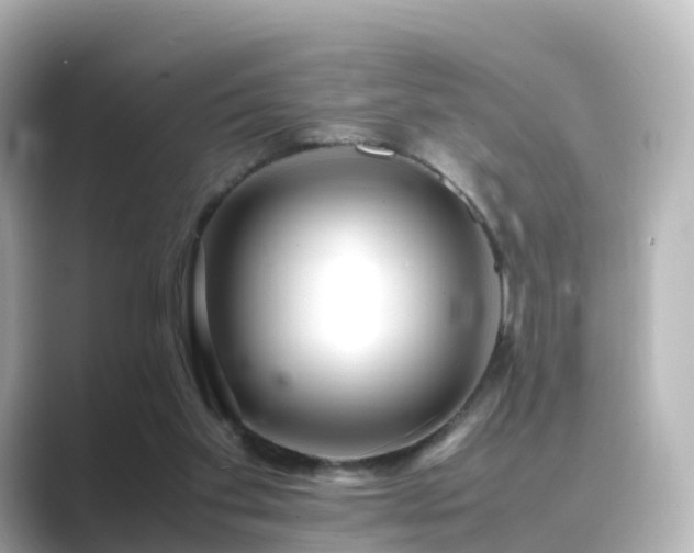 X0000089410109200706221142