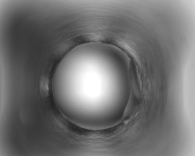 X0000089410115200706221142