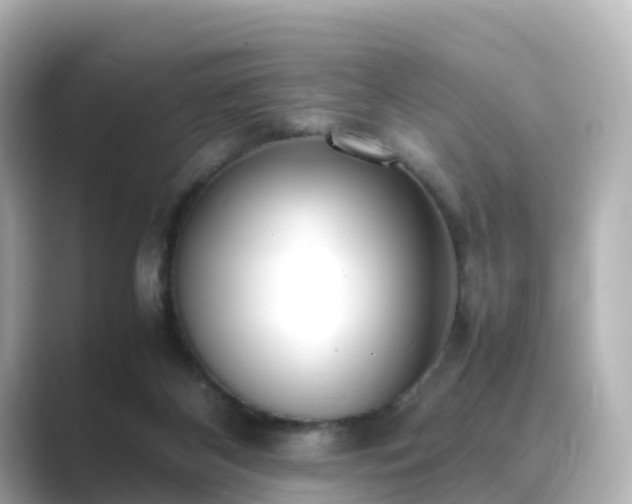 X0000089410116200706221142