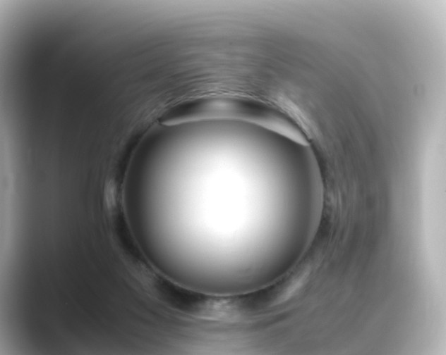 X0000089410117200706221142