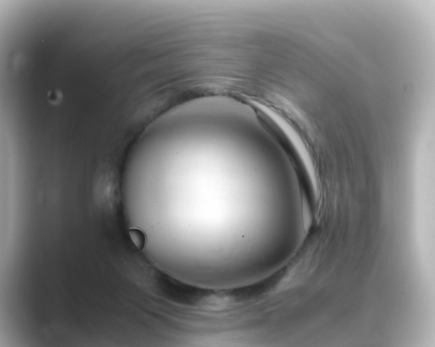 X0000089410119200706221142