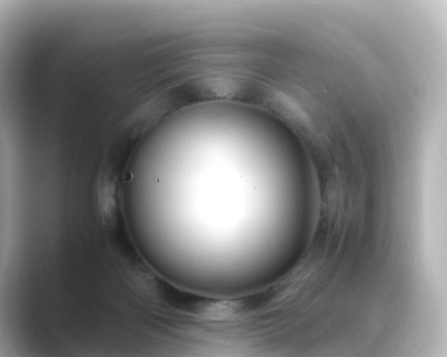 X0000089410122200706221142