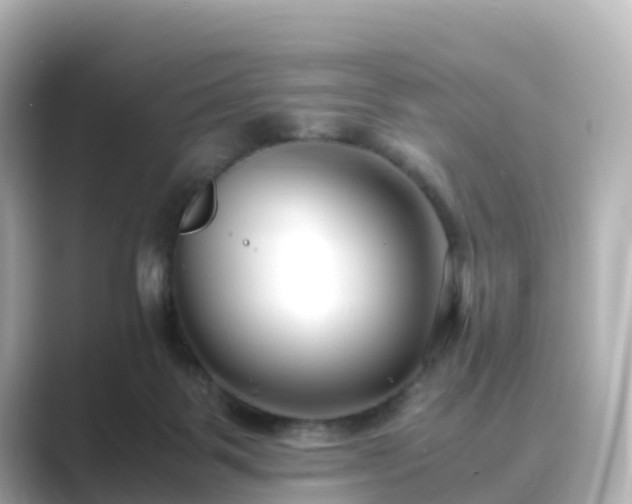 X0000089410123200706221142