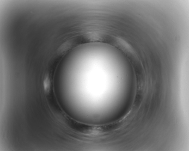 X0000089410124200706221142