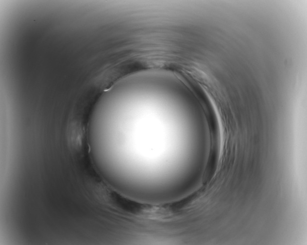 X0000089410125200706221142