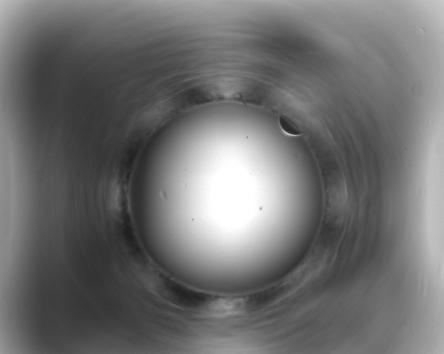 X0000089410126200706221142
