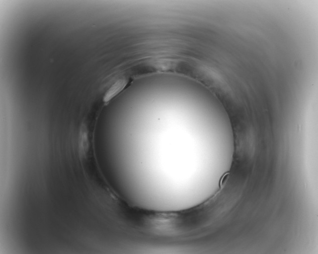 X0000089410128200706221142
