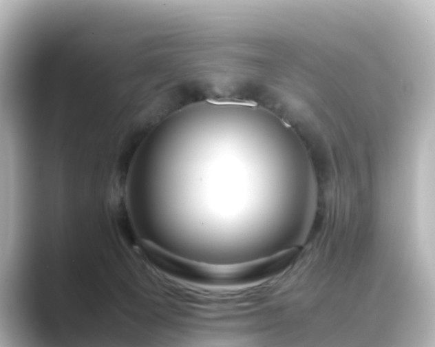 X0000089410129200706221142