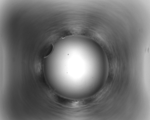 X0000089410130200706221142