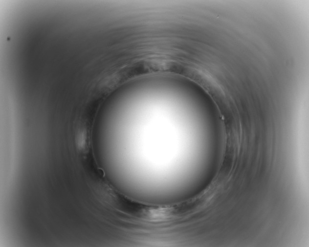 X0000089410134200706221142