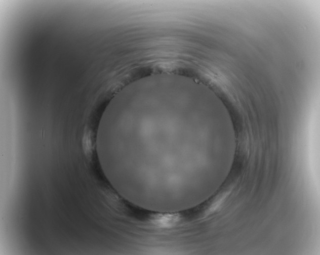 X0000089410135200706221142