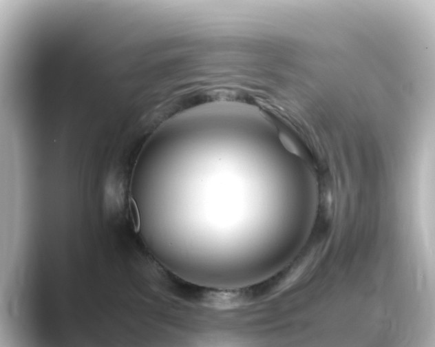 X0000089410139200706221142