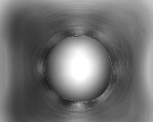 X0000089410140200706221142