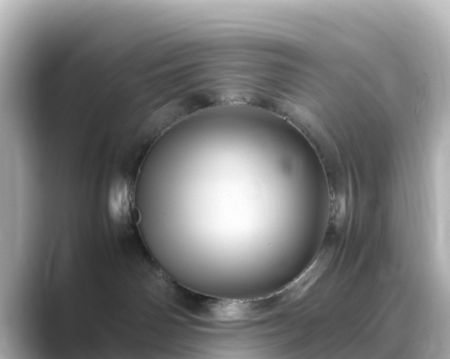 X0000089410142200706221142