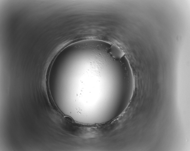 X0000089410147200706221141